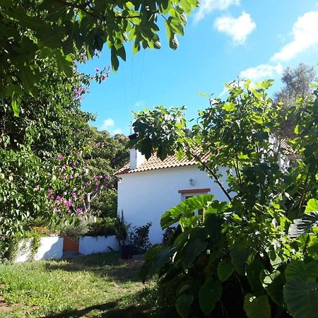 Quinta Algarve Das Relvinhas モンシケ エクステリア 写真