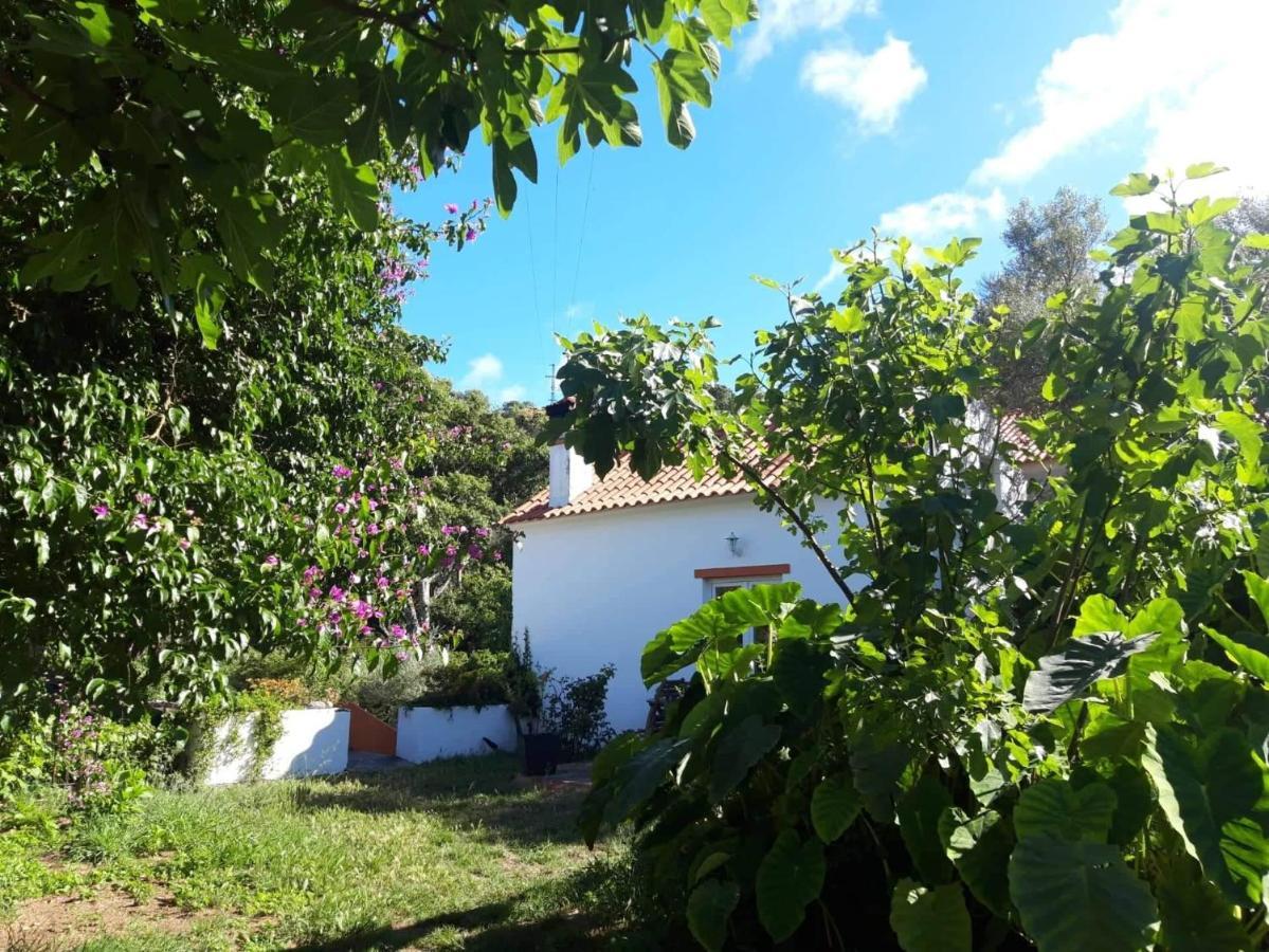 Quinta Algarve Das Relvinhas モンシケ エクステリア 写真