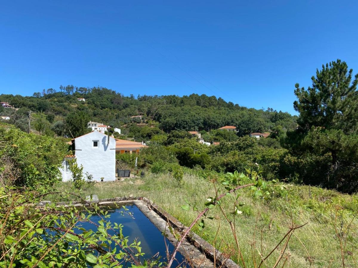 Quinta Algarve Das Relvinhas モンシケ エクステリア 写真