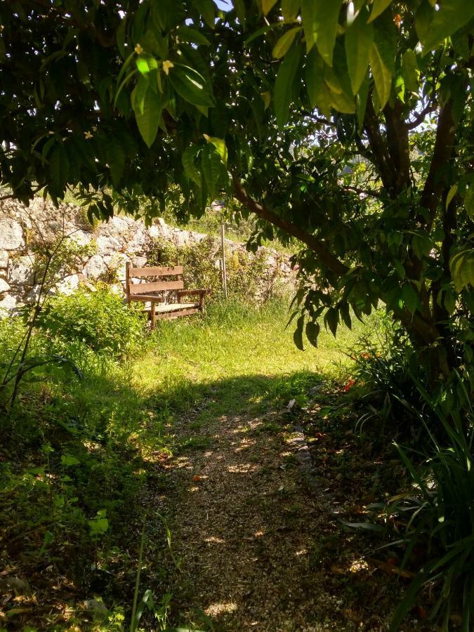 Quinta Algarve Das Relvinhas モンシケ エクステリア 写真