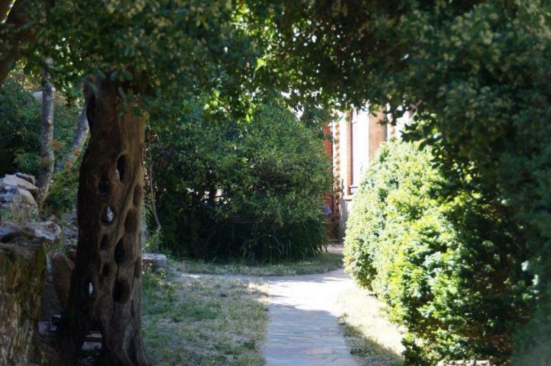 Quinta Algarve Das Relvinhas モンシケ エクステリア 写真